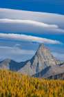 Mount St. Nicholas with autumn larch trees in Glacier National Park, Montana, USA Art Print